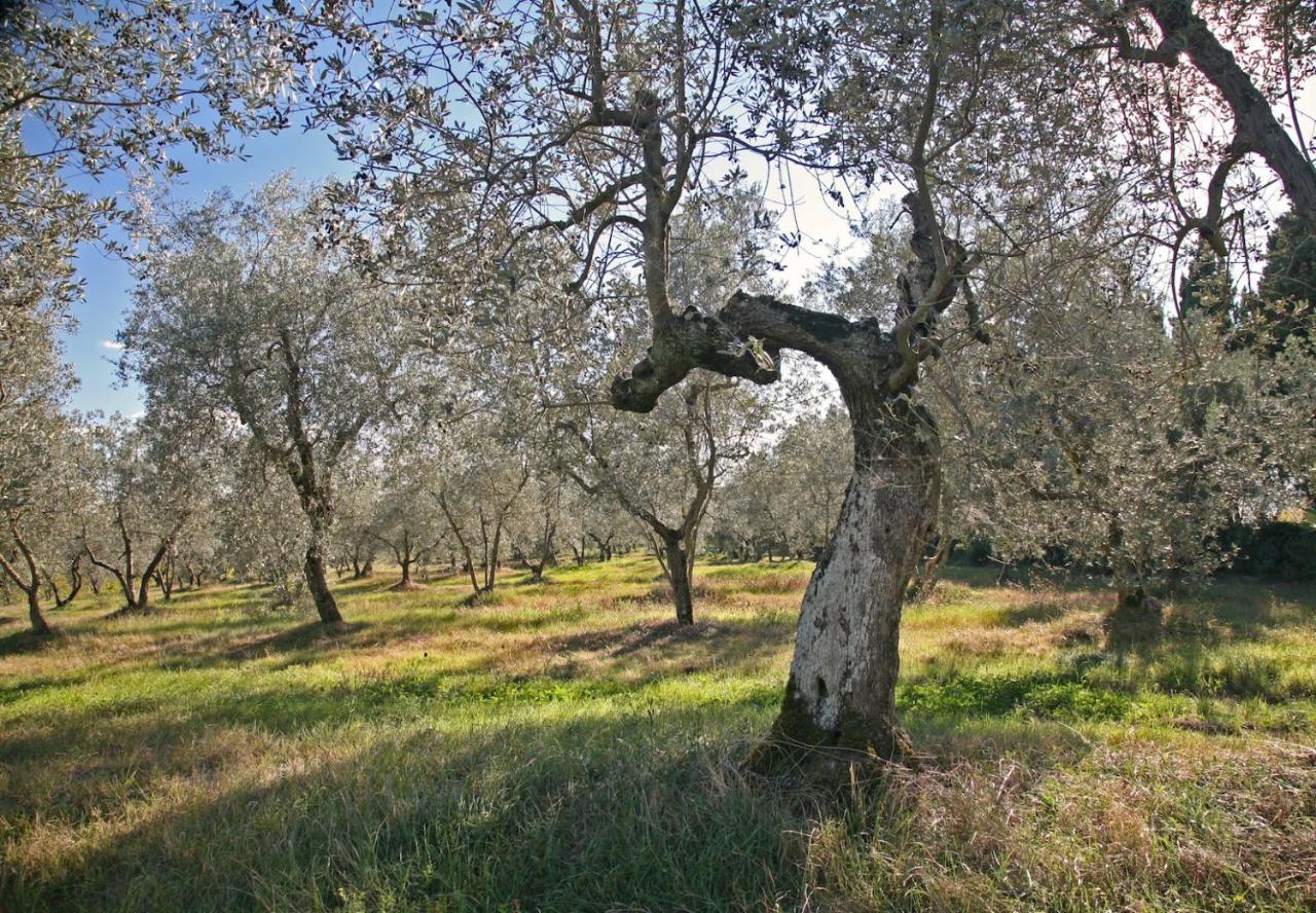 Agriturismo & Winery Il Bacio Tavarnelle Val di Pesa Εξωτερικό φωτογραφία