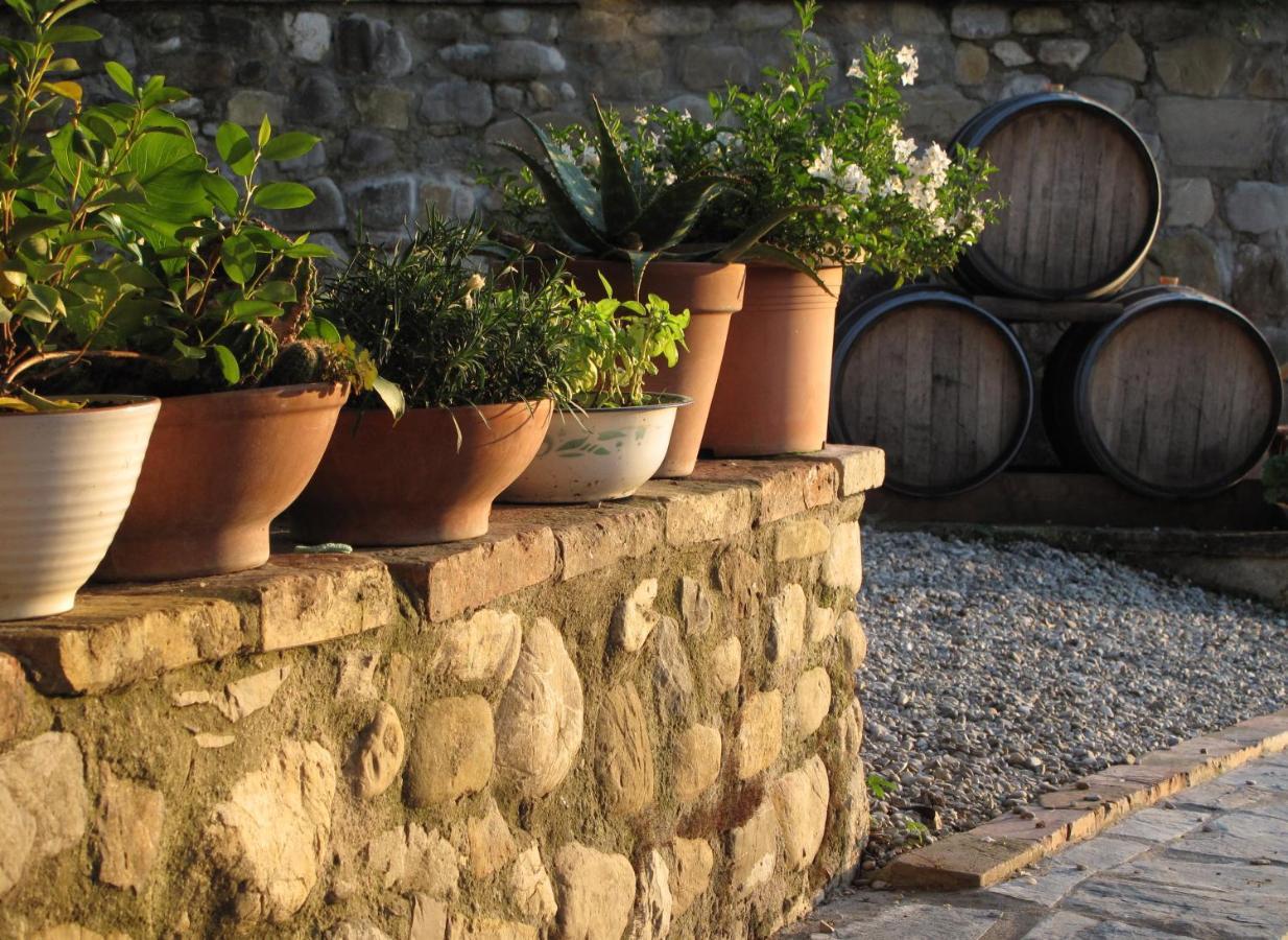 Agriturismo & Winery Il Bacio Tavarnelle Val di Pesa Εξωτερικό φωτογραφία