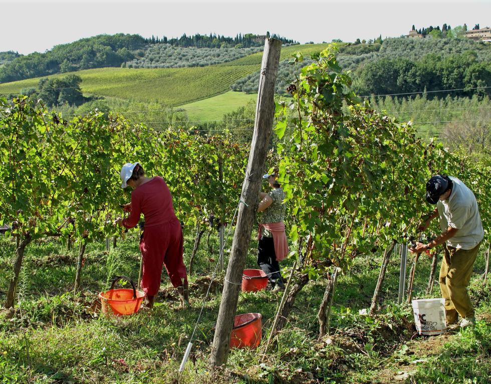 Agriturismo & Winery Il Bacio Tavarnelle Val di Pesa Εξωτερικό φωτογραφία