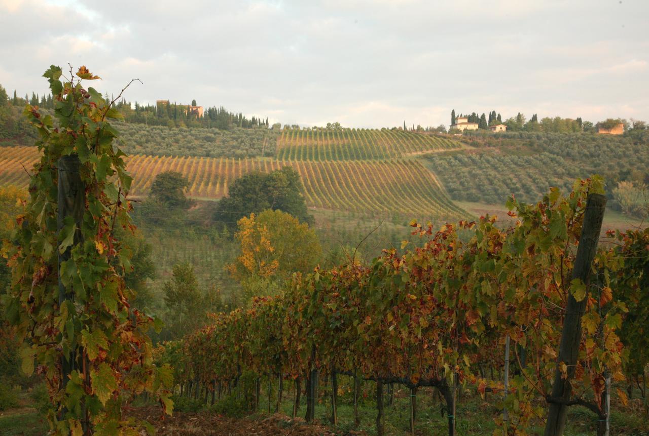 Agriturismo & Winery Il Bacio Tavarnelle Val di Pesa Εξωτερικό φωτογραφία
